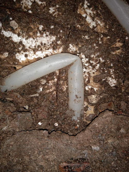 博白堵点精准查找